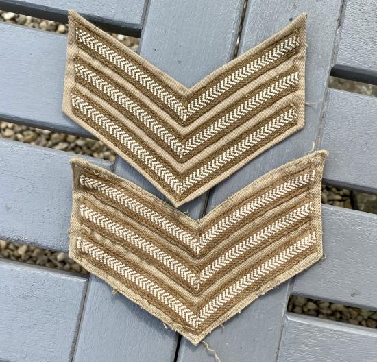 Tropical Sergeant Stripes